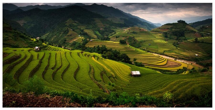 From Sapa: Terrace Fields and Local Villages Trek with Lunch - Key points at a glance