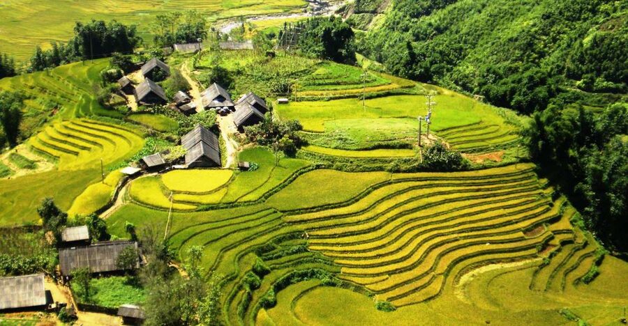 From Sapa: Terrace Fields and Local Villages Trek with Lunch - Lai Chai village and local stories