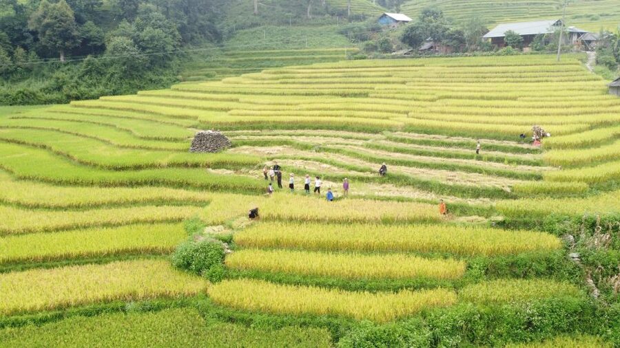 From Sapa: Terrace Fields and Local Villages Trek with Lunch - The waterfall break