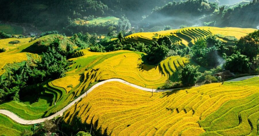 From Sapa: Terrace Fields and Local Villages Trek with Lunch - Mud, fog, and the right footwear