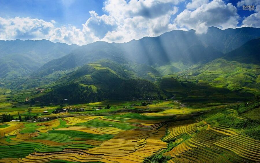 From Sapa: Terrace Fields and Local Villages Trek with Lunch - A local lunch after the walk