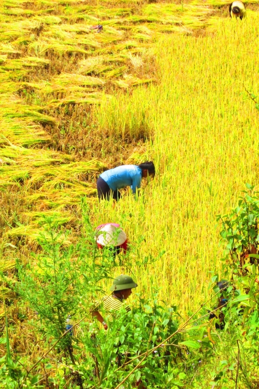 From Sapa: Waterfalls, Trekking and Tribal Villages Tour - From Sapa to Silver Waterfall and Love Waterfall