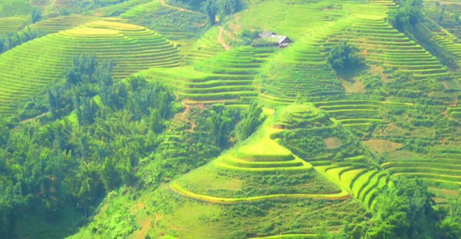 From Sapa: Waterfalls, Trekking and Tribal Villages Tour - Rice terraces, Hmong villages, and Red Dzao traditions