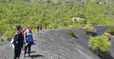 Half-Day Mount Etna Morning Trek