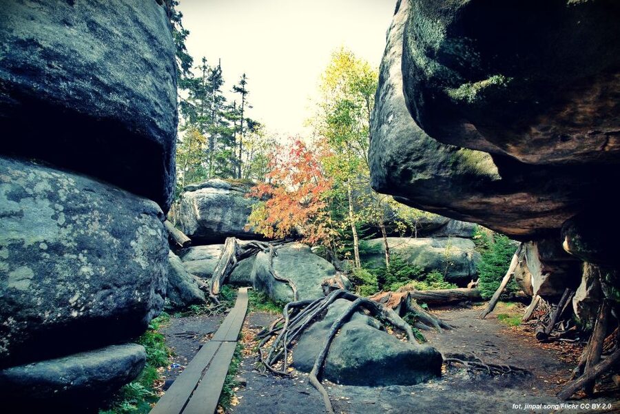 From Wroclaw: Full-Day Stolowe Mountains Trekking Tour - Key points to know before you book