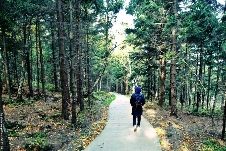 From Wroclaw: Full-Day Stolowe Mountains Trekking Tour - What the 40-minute ascent means for you