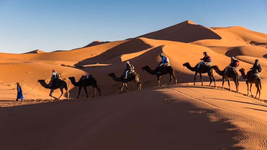 From Zagora: 3-Desert Tour to Erg Chigaga Dunes & Caml Trek - The return through Tamegroute
