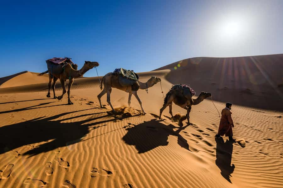 From Zagora: 3-Desert Tour to Erg Chigaga Dunes & Caml Trek - Should you book the Erg Chigaga trip?