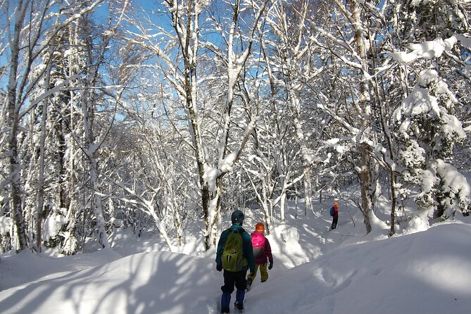 Frozen fall trekking - Group size, privacy, and family fit