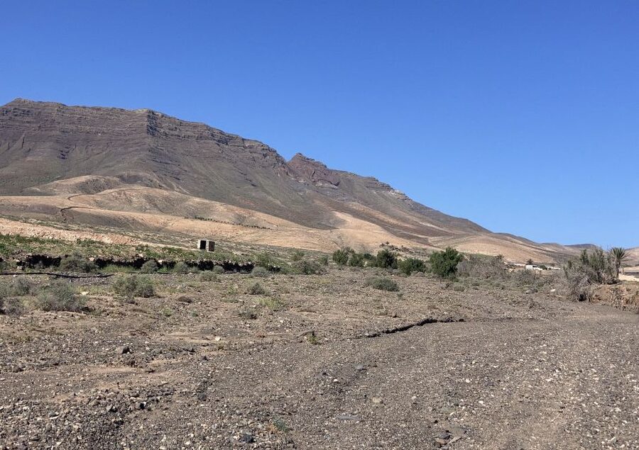 Fuerteventura: Guided Trekking Tour with Island Goats - Is $80 a fair price?