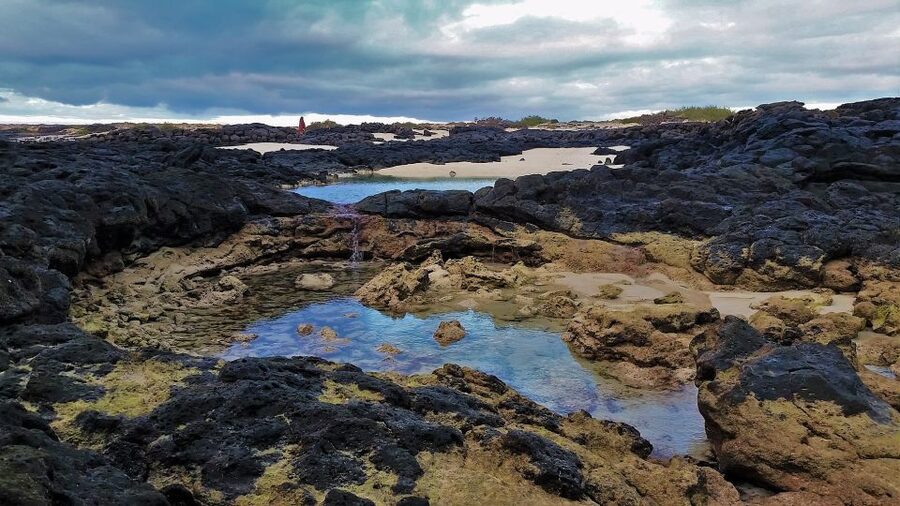 Fuerteventura: Trekking Tour Through the North of the Island - Walking through La Cañada de Melian