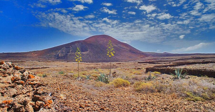 Fuerteventura: Trekking Tour Through the North of the Island - Starting at Calderón Hondo near Lajares