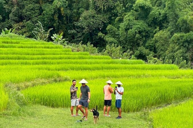 Full-Day Doi Inthanon National Park Tour with Trek and Pagodas - Why Doi Inthanon works as a full-day outing