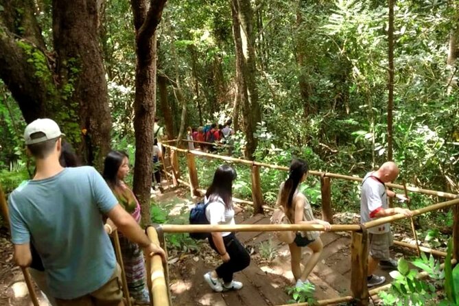 Full-Day Doi Inthanon National Park Tour with Trek and Pagodas - Hmong Market lunch and local produce