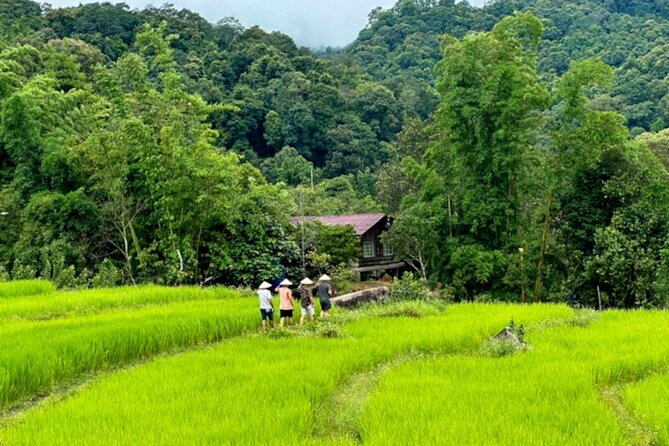 Full-Day Doi Inthanon National Park Tour with Trek and Pagodas - Pha Dok Siew Nature Trail is the day’s best section