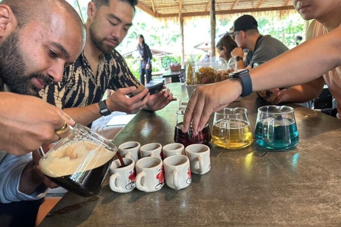 Full-Day Doi Inthanon National Park Tour with Trek and Pagodas - Guides, driving, and group size
