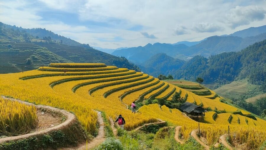 Full Day Private Trekking Mu Cang Chai - 2:00 pm: La Pán Tẩn’s Raspberry Hill