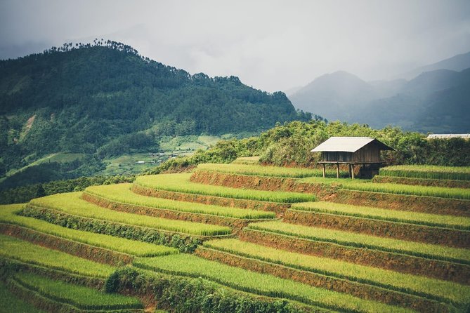 Full Day Private Trekking Mu Cang Chai - 10:30 am: The Hill of Wind and the view toward Mâm Xôi bé