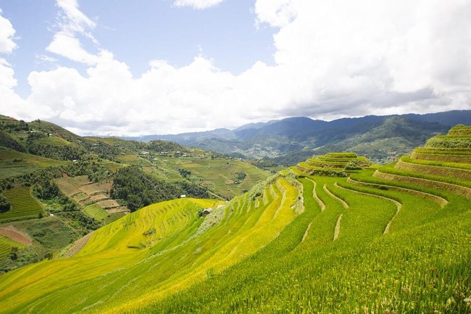 Full Day Private Trekking Mu Cang Chai - 11:30 am: Mũi Giày, the shoe-shaped rice field