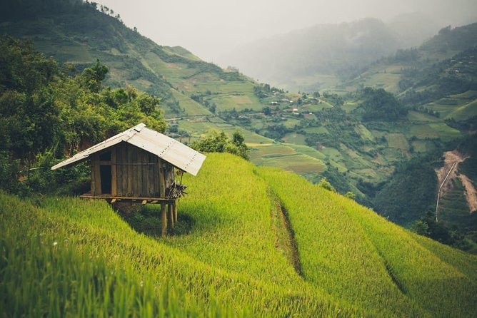Full Day Private Trekking Mu Cang Chai - Noon lunch: A local meal made for the group