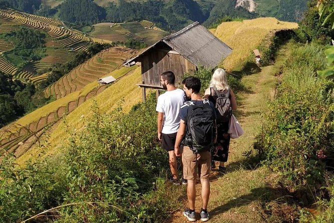 Full Day Private Trekking Mu Cang Chai - 8:00 am: Starting through Mu Cang Chai’s rice fields