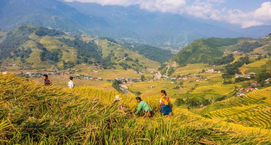 Full Day Tour in Sapa Trekking with Local guide - Should you book the Sapa one-day trek?