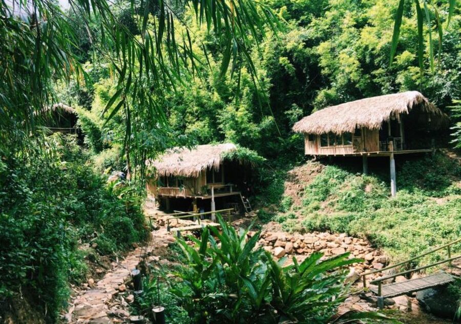 Full Day Tour in Sapa Trekking with Local guide - Lunch with local food, then back to Sapa