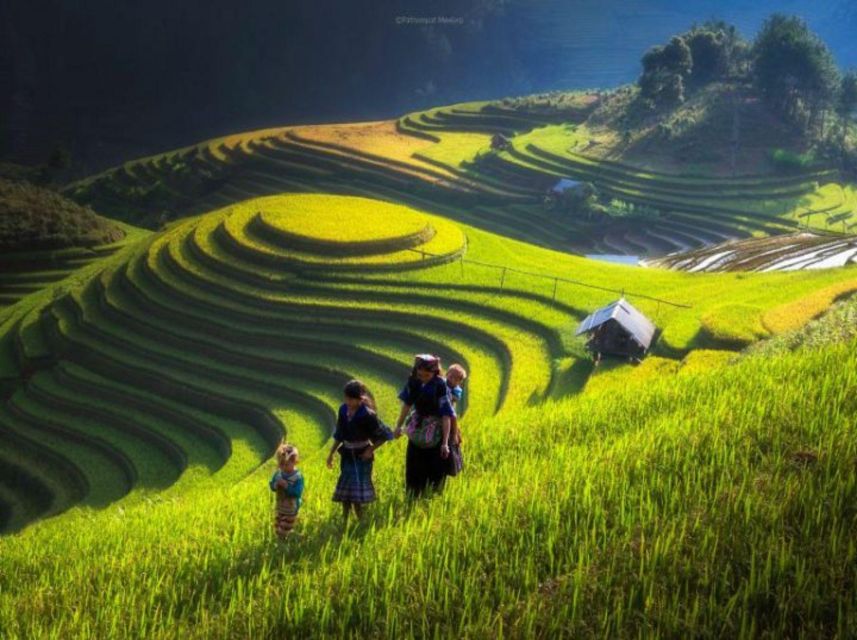 Full Day Tour in Sapa Trekking with Local guide - What the $49 price covers