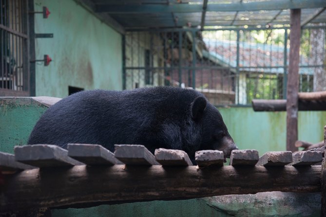 Full Day Trek to Kuang Si Waterfalls, Remote Village - The Bear Rescue Center and the water’s wider story