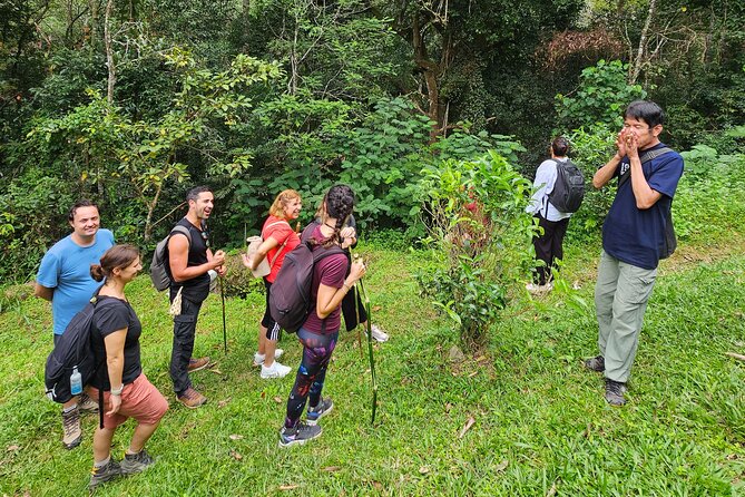 Full-Day Trekking and Sightseeing Tour in Mae Kampong - Lunch with a local flavor