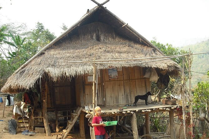 Full Day Trekking & bamboo cooking Tour in Chiang Rai - Tea views, waterfall time, and the second hike