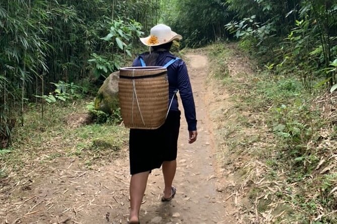 Full Day Trekking in Sapa - Starting from Sapa at 8:00 am