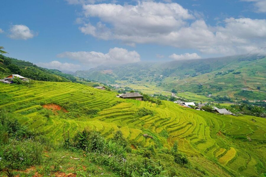 Full Day Trekking Lao Chai-Ta Van and Cat Cat Village - Why the Muong Hoa Valley morning matters