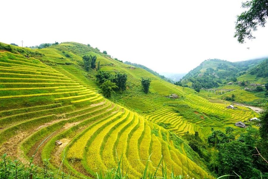 Full Day Trekking Lao Chai-Ta Van and Cat Cat Village - Ta Van and the end of the main trek