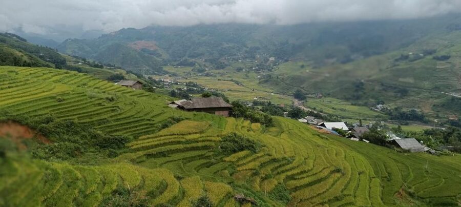 Full Day Trekking Lao Chai-Ta Van and Cat Cat Village - What the guides add to the day