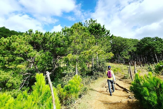 Full day Trekking On Langbiang Mountain - Key points at a glance