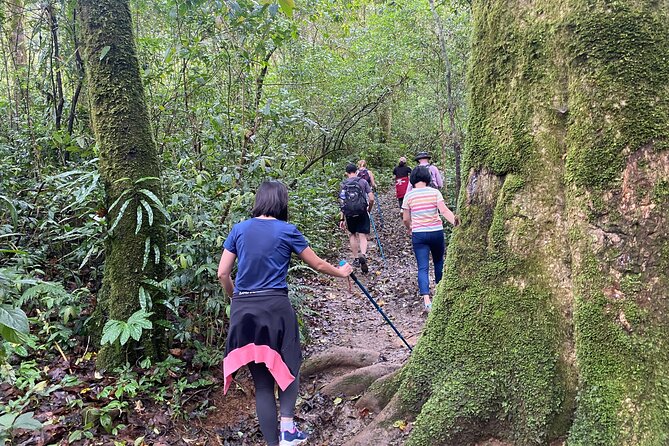 Full day Trekking On Langbiang Mountain - From Da Lat to the Langbiang trail