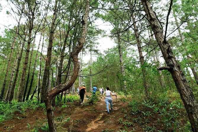 Full day Trekking On Langbiang Mountain - The 18-kilometer route and its changing forest