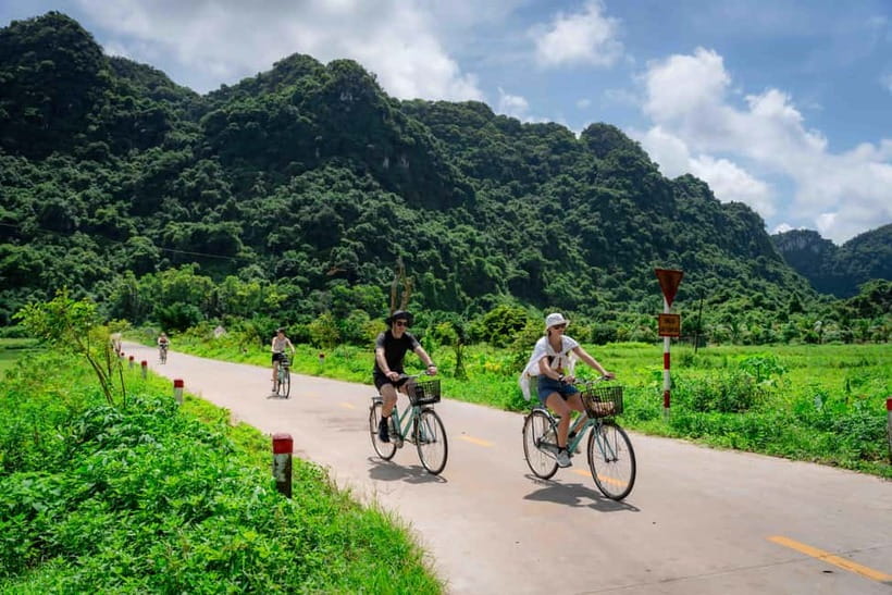 Fullday Trekking in Cat Ba National Park to Viet Hai Village - The forest route: limestone, crossings, and wildlife