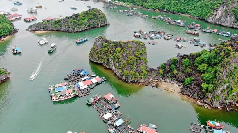 Fullday Trekking in Cat Ba National Park to Viet Hai Village - 10:30 to 12:30, walking toward Viet Hai Village