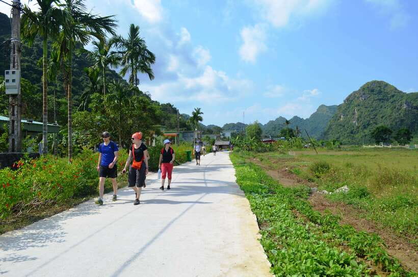Fullday Trekking in Cat Ba National Park to Viet Hai Village - 3:00, kayaking and swimming in Lan Ha Bay