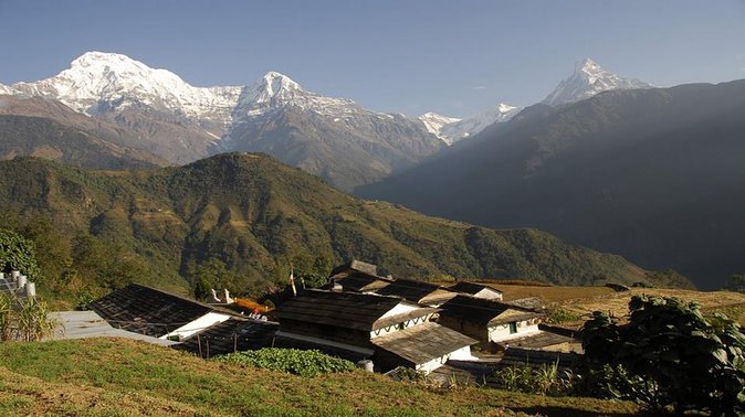 Ghorepani Ghandruk Trek ( Poon Hill circuit, Annapurna sunrise view trek) - Day 3: Choosing between the road and the sky to Pokhara