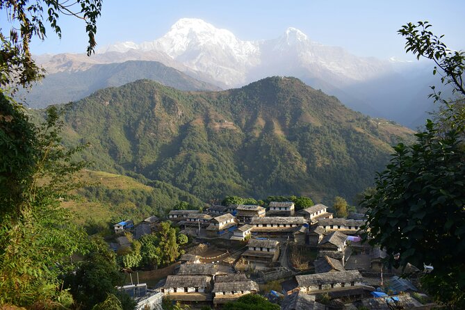 Ghorepani Ghandruk Wellness Yoga Trek - Ghorepani is the first serious mountain day