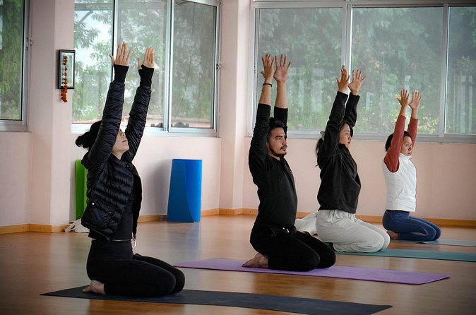 Ghorepani Ghandruk Wellness Yoga Trek - What the included support means on the ground