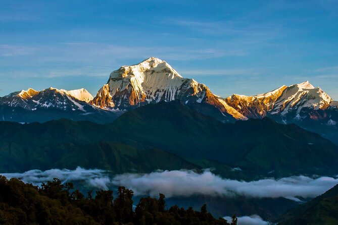 Ghorepani - Poon Hill Trek – 5 DAYS - Food, lodging, and the working setup