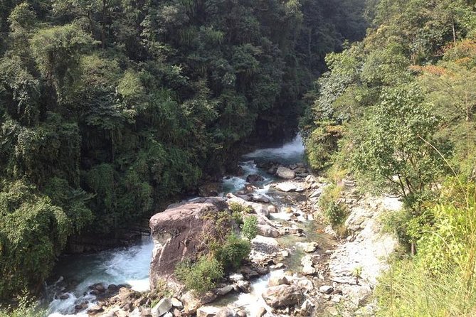 Ghorepani Poon Hill Trek - Day 4: Ulleri and the approach to Ghorepani
