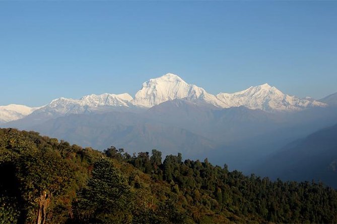 Ghorepani Poon Hill Trek - Day 6: Forest paths and the stone village of Ghandruk