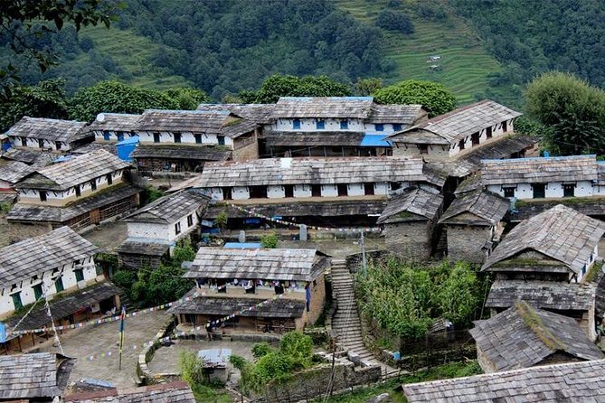 Ghorepani Poon Hill Trek - Day 7: Finishing the walk at Birethanti