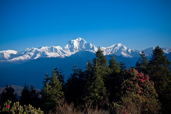 Ghorepani - Poon Hill yoga Trek - 10 Days - Day 3: Nayapul to Tikhedhunga