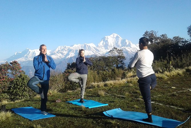 Ghorepani - Poon Hill yoga Trek - 10 Days - Day 1: Kathmandu and a gentle start in Thamel